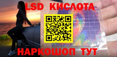 крисы Партизанск