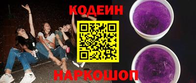 крисы Партизанск
