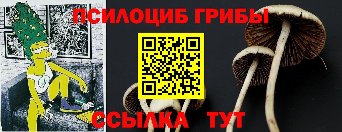 Галлюциногенные грибы Psilocybine cubensis Усть-Илимск